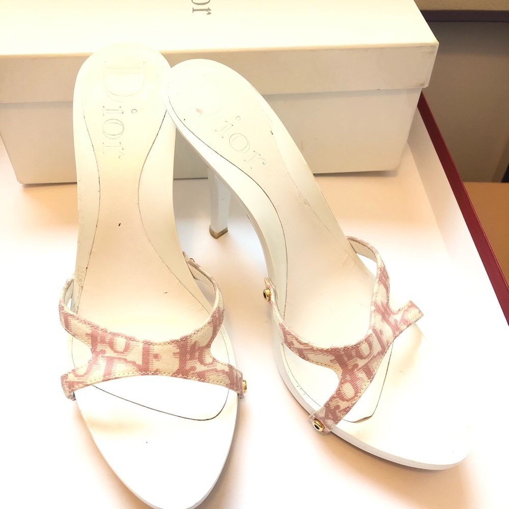 Christian Dior Shoes